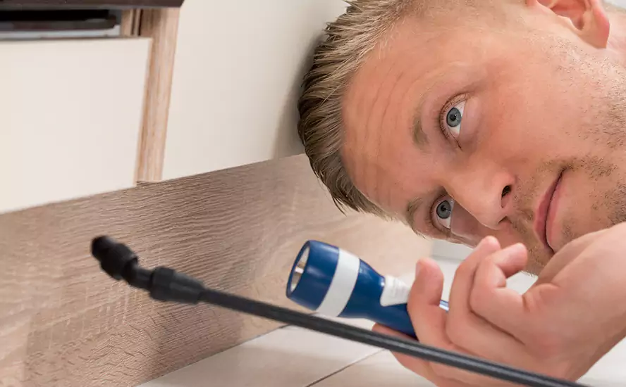 Top-Notch Pest Control in Redlands