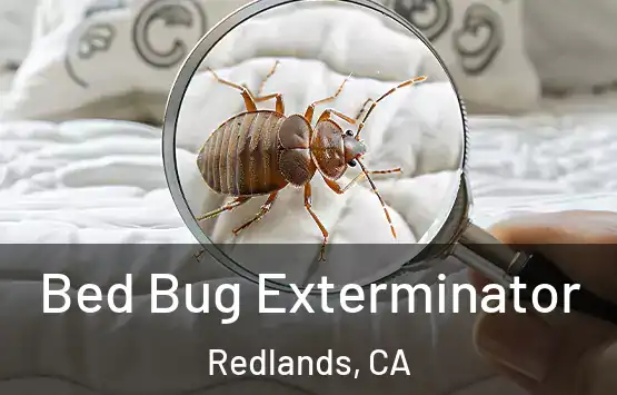  Bed Bug Exterminator Redlands, CA