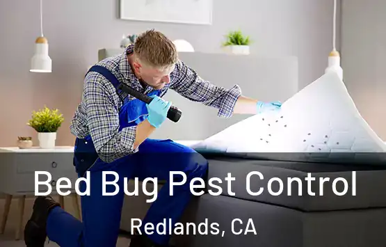  Bed Bug Pest Control Redlands, CA