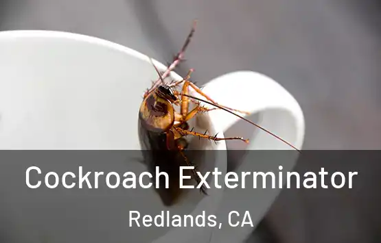 Cockroach Exterminator Redlands, CA