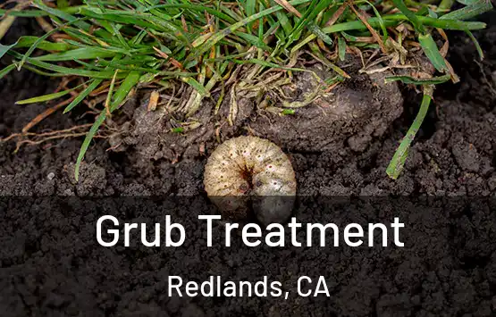  Grub Treatment Redlands, CA