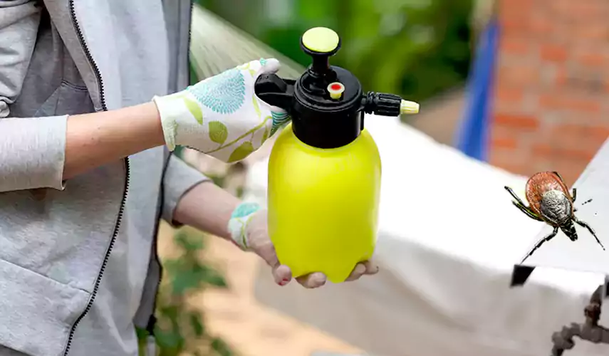 Ticks Pest Control Redlands, California