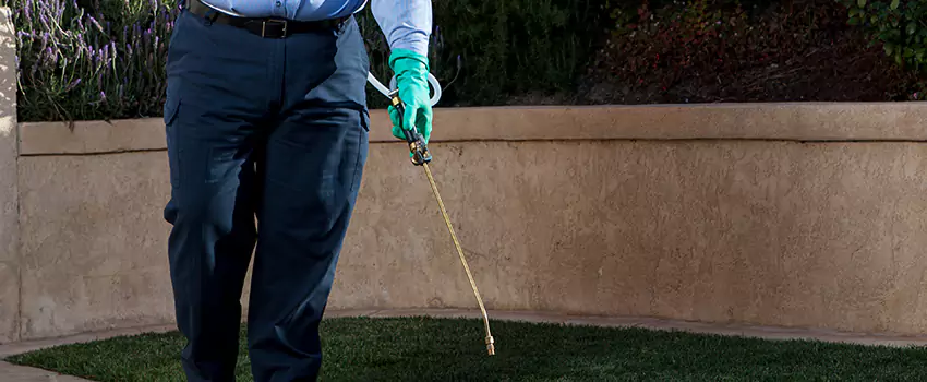 Emergency Pest Extermination for Children and Pets Redlands, CA