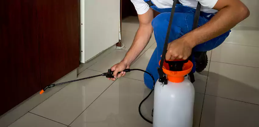 Commercial Flea Exterminator Company in Redlands, CA