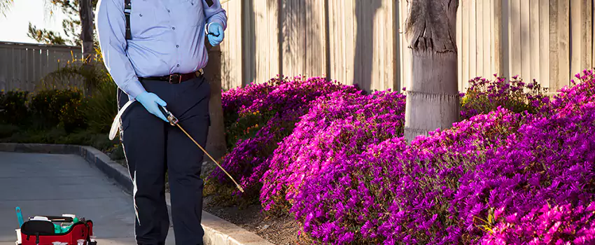 Commercial Mosquito Control Services in Redlands, CA