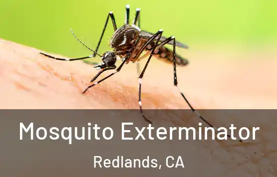  Mosquito Exterminator Redlands, CA