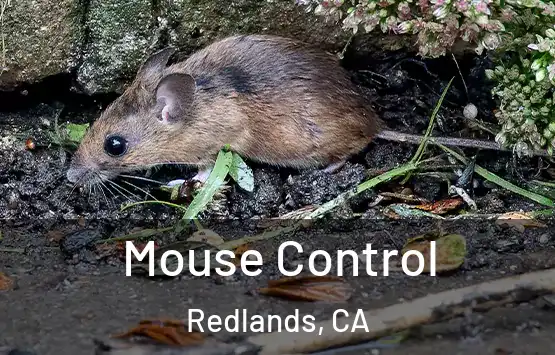  Mouse Control Redlands, CA