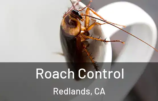  Roach Control Redlands, CA