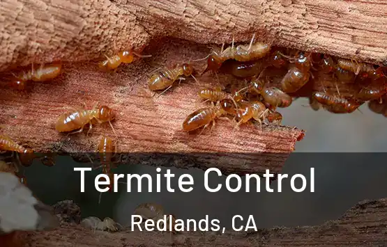  Termite Control Redlands, CA