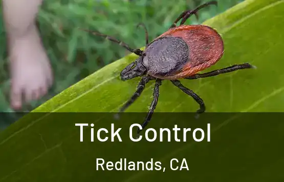 Tick Control Redlands, CA