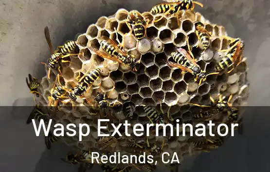  Wasp Exterminator Redlands, CA